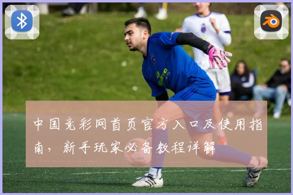 中国竞彩网首页官方入口及使用指南,新手玩家必备教程详解