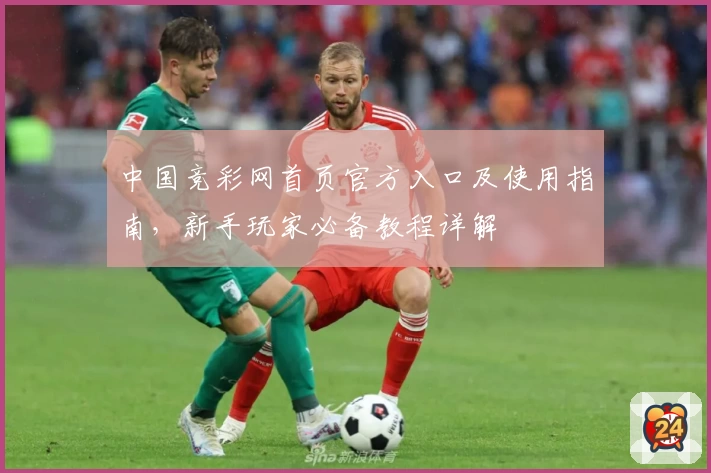 中国竞彩网首页官方入口及使用指南,新手玩家必备教程详解
