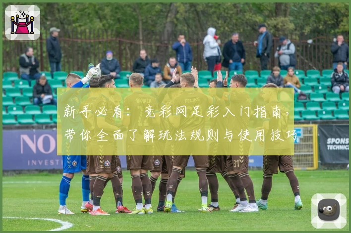 新手必看：竞彩网足彩入门指南，带你全面了解玩法规则与使用技巧