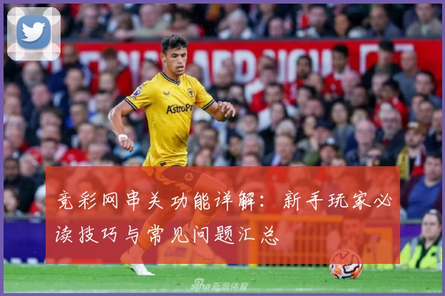 竞彩网串关功能详解：新手玩家必读技巧与常见问题汇总