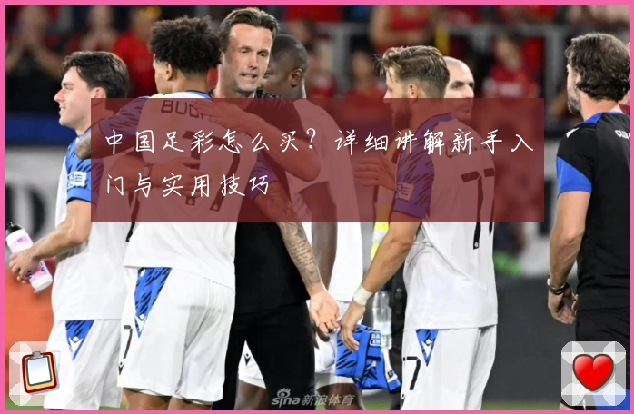 中国足彩怎么买？详细讲解新手入门与实用技巧